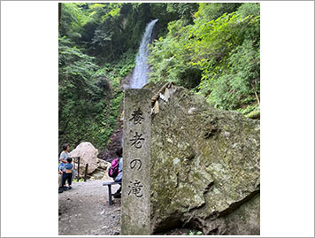 養老の滝