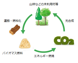 バイオマス発電の仕組み